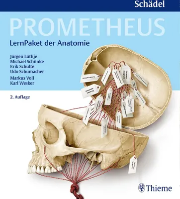 Produktbild von PROMETHEUS LernPaket Anatomie Schädel