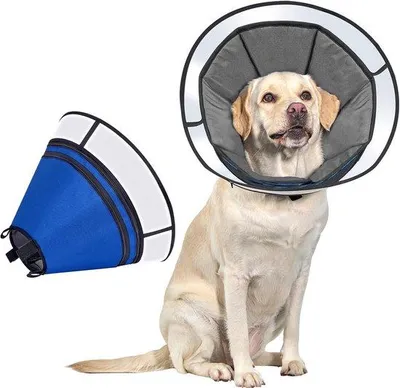Image de Collier pour chiens, souple et réglable, collier de protection, empêche les morsures et le léchage, respirant, protection anti-léchage pour chiens, bleu, pour chiens de taille moyenne