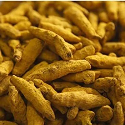 Immagine prodotto di Krauterino24 - Radice di curcuma intera | Quantità: 500 g
