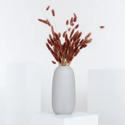 Zdjęcie produktu dla Lagurus - ogonek królikowy - suszone kwiaty 60 - 70cm - naturalny, bezowy