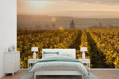 Produktbild von MuchoWow® Fototapete für Wohnzimmer oder Schlafzimmer Wandtapete Vinyl Motivtapete Weinberg - Sonne - Frankreich - 525x350 cm - Das Hintergrundbild