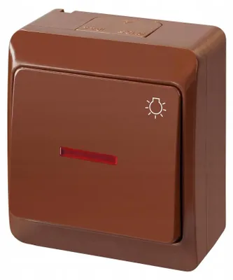 Image de Interrupteur simple marron Elektro-Plast Nasielsk IP44 0346-06