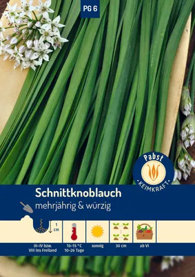 Produktbild von Schnittknoblauch Gewürzlauch | Knoblauchsamen von Carl Pabst