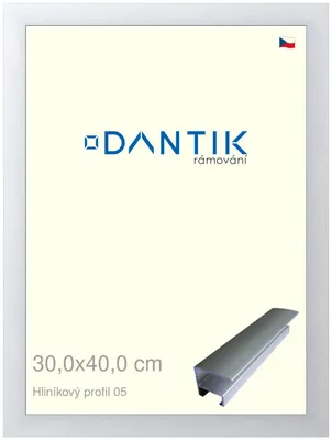Zdjęcie produktu dla Rama DANTIK 30x40 | Profil ALU 7005 Srebrny mat (Plexi Clear)