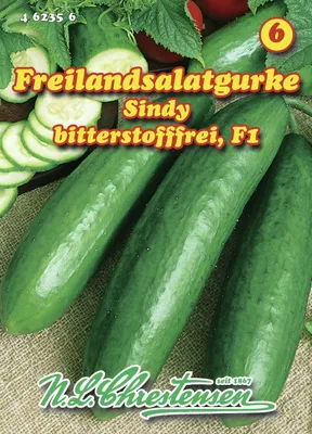 Produktbild von Freilandsalatgurke Sindy | Freilandgurkensamen von N.L. Chrestensen