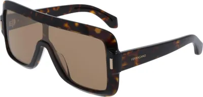 Produktbild von Ferragamo SF2061SE Dark tortoise 55/20/145 Damen Sonnenbrillen