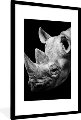 Produktbild von MuchoWow® Gerahmtes Poster Tiere - Nashorn - Schwarz - Weiß - Porträt 60x90 cm - Poster mit Schwarzem Bilderrahmen Wandposter Rahmen Foto Bilder - Dekoration - Wandposter Wohnzimmer - Hochwertig