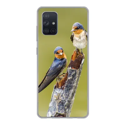 Produktbild von MuchoWow® Handyhülle Schutzhülle Hülle für Samsung Galaxy A51 5G Vögel - Zweig - Porträt Silikon Softcase Handy Hülle - Abbildung