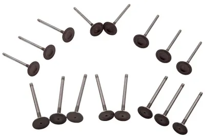 Image de Kit de soupapes pour voiture - 16 soupapes d'admission et d'échappement - Compatible avec VW Golf GTI, Jetta, Beetle 2.0T - Soupapes moteur - Remplacement pour les références 06D109611T et 06D109611