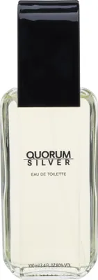 Produktbild von Antonio Puig Quorum Silver Woda toaletowa, 100ml