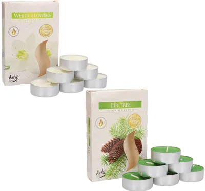 Produktbild von KOTARBAU® 12er Pack Duftkerzen Teelichter White Flowers Tanne Duftteelichter Brenndauer 4 Stunden