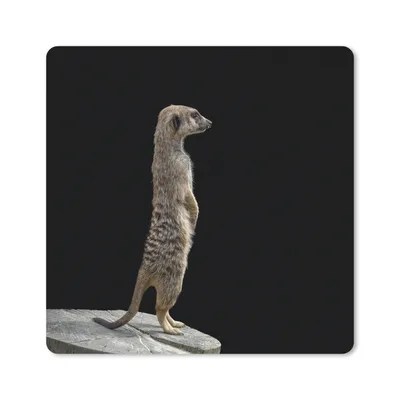 Produktbild von MuchoWow® Mauspad Mousepad Erdmännchen - Wilde Tiere - Schwarz 30x30 cm - Mousepads - Maus Mat - Pad - Mausunterlage - Gaming