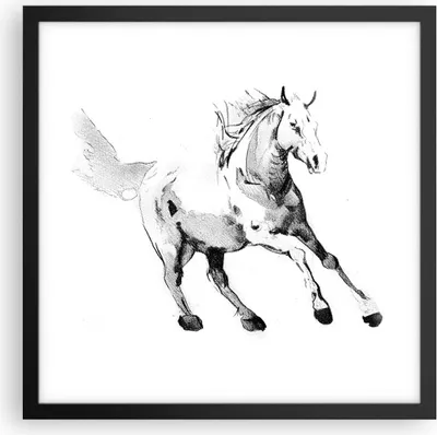 Produktbild von Gerahmtes Poster - Schwarzer Rahmen - Pferd Galopp Tier - 40x40 cm - Wand Bild - Wanddeko - Wandbilder - Kunstposter - Wandposter - Bilderrahmen - Bilder - Kunstdruck - P2BAC40x40-5117