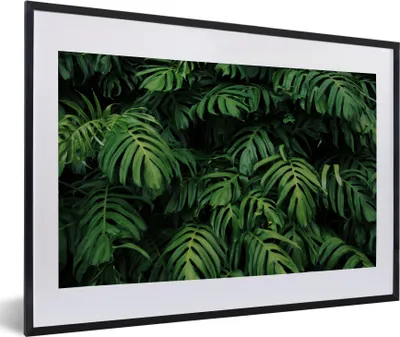 Produktbild von MuchoWow® MuchoWow® Gerahmtes Poster Blätter - Monstera - Abstrakt - Mädchen - Kinder - Jungen 60x40 cm - Poster mit zchwarzem Bilderrahmen - Schlafzimmer - Plakat in Rahmen - Drucken