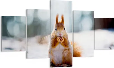 Produktbild von Bild auf Leinwand - Leinwandbild - Eichhörnchen Winter Schnee Essen - 125x70cm - Wand Bild - Wanddeko - Leinwanddruck - Bilder - Kunstdruck - Leinwand bilder - Wandkunst - EA125x70-2798