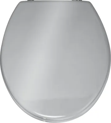A top-down view of a closed toilet seat.