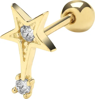 Productafbeelding van Unieke oorbellen voor dames, goud 375/1000 met zirconiumoxide - 10mm * 6mm; TRS26109