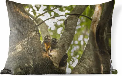 Produktbild von MuchoWow® Outdoor Kissen - Kleine Tiere in einem Baum - 50x30 cm - Wetterfest - Lounge Kissen - Sofa kissen - Wohnzimmer Dekoration