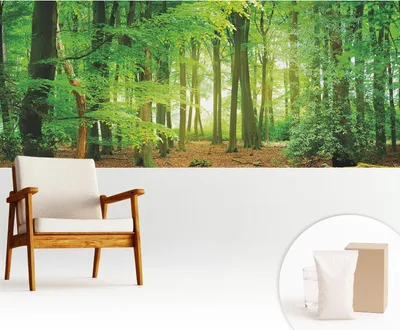 Zdjęcie produktu dla Fototapeta samoprzylepna – 250 x 104 cm – tapeta – tapeta ścienna – obrazy ścienne – folia samoprzylepna – folia dekoracyjna – tapeta foliowa – ściana – dekoracja – salon – zielony las