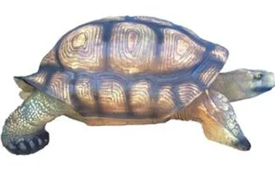 Image de Décoration Figure Salon Statue moderne Tortue jardin peinte 110 cm Deko
