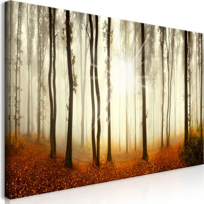 Produktbild von Wandbild Mega XXXL Wald 250x125 cm Einteiliger XXL-Format Kunstdruck zur Selbstmontage Leinwandbilder moderne Bilder DIY Wanddekoration Wohnung Deko Baum Bäume Natur c-B-0286-ak-e