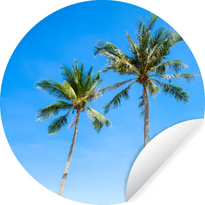 Produktbild von MuchoWow® Runde Wandtattoo - Wandsticker Tapete Aufkleber Palme - Sommer - Tropisch Ø 50 cm Selbstklebend und Repositionierbar - Wandaufkleber - Kreis - Wand Kreis - Wand Bild - Foto Tapete - Selbstklebende - Wohnzimmerdekoration - Wand Dekoration - Kinderzimmer