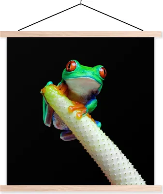 Produktbild von MuchoWow® Textilposter Frosch - Tier - Pflanze 40x40 cm mit holzfarbenen Rahmen - Posterleiste