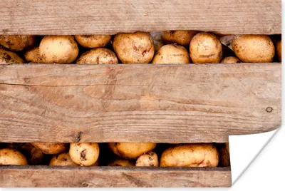 Produktbild von MuchoWow® Poster Box - Kartoffeln - Gemüse - Ernte 180x120 cm - Fotoplakat