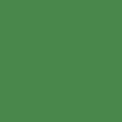 Productafbeelding van Walimex pro achtergrondkarton, 1,35 x 10 meter, groen chroma. Robuust fotobackground van karton, fotodoek als achtergrond voor fotostudio, reflectievrij, duurzaam, ideaal voor productfotografie