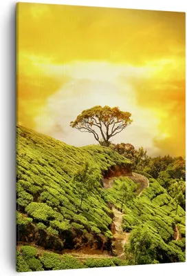Produktbild von Bild auf Leinwand - Leinwandbild - Einteilig - Berg Baum Pfad Hügel - 50x70cm - Wand Bild - Wanddeko - Wandbilder - Leinwanddruck - Wanddekoration - Leinwand bilder - Wandbild - PA50x70-2715