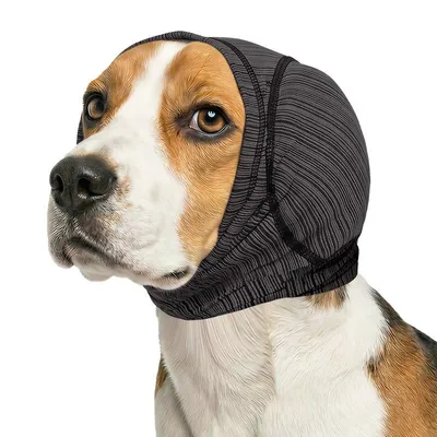Produktbild von Hunde-Ohrenschützer 2er-Set, Gehörschutz mit Ohrstöpseln, rutschfeste Haustier-Haube, schnell trocknend & schalldämmend, für die Hundepflege