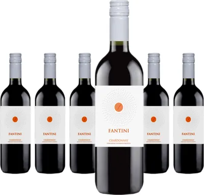 Produktbild von 6 x Fantini Chardonnay 1 LIter