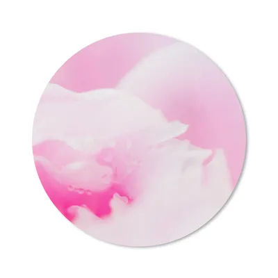 Produktbild von MuchoWow® Mauspad Mousepad Nahaufnahme der Blütenblätter der rosa Pfingstrose 40x40 cm - Mousepads - Maus Mat - Pad - Mausunterlage - Schreibtisch Accessoires