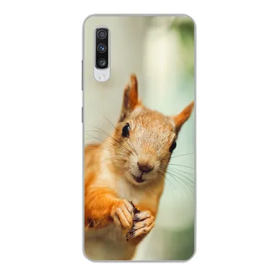 Produktbild von MuchoWow® Handyhülle Schutzhülle Hülle für Samsung Galaxy A70 Eichhörnchen - Lustig - Nuss - Kinder - Jungen - Mädchen - Kind Silikon Softcase Handy Hülle - Schutzhaube
