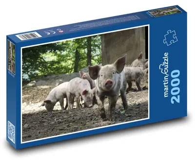 Obrázek produktu pro Puzzle 2000 Selátka v lese - martinpuzzle