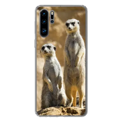 Produktbild von MuchoWow® Handyhülle Schutzhülle Hülle für Huawei P30 Pro Felsen - Erdmännchen - Tiere Silikon Softcase Handy Hülle - Schutzdeckel