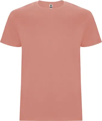 Zdjęcie produktu dla Roly CA6681 | Stafford T-Shirt - Dwuwarstwowa koszulka z okrągłym kołnierzykiem - Kolor: Clay Orange 266 - Rozmiar: M