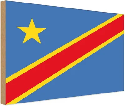 Produktbild von vianmo Holzschild 30x40 cm DR Kongo democratic Congo Flagge Fahne Wappen