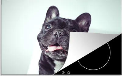 Produktbild von KitchenYeah© Herdabdeckplatte Französische Bulldogge - Schwarz - Stuhl , 81x52cm, Küche Deko, Glaskeramikkochfeld Herdabdeckung, Abdeckplatte fùr Kochfeld