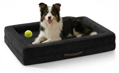 Immagine prodotto di Cuccia ortopedica per cani, lavabile, colore nero, dimensioni 91x61x18 cm