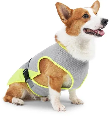Produktbild von Hundekühlweste - Hunde-Kleidung für den Haustierbesitz - Sonnenschutz UPF50+ - Größe XL