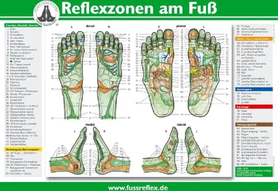 Produktbild von Reflexzonen am Fuß (2 Tafeln A4)