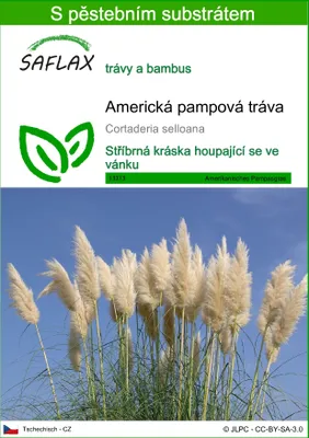 Obrázek produktu pro SAFLAX - Americká pampová tráva - Cortaderia selloana - 200 Semena - S pěstebním substrátem bez klíčků