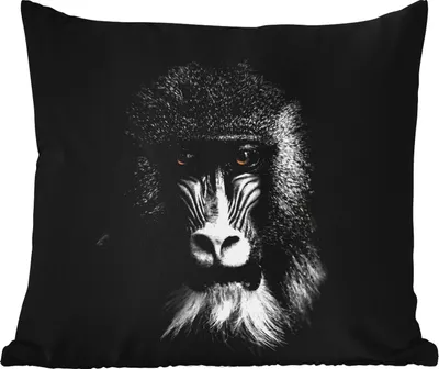 Produktbild von MuchoWow® Outdoor Kissen - Affe - Tiere - Augen - Braun - Schwarz und weiß - 50x50 cm - Wetterfest - Lounge Kissen - Komfortabel - Kissen mit Bild