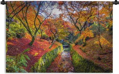 Produktbild von MuchoWow® Wandteppich Wandbehang Blick auf die bunten Blätter der Ahornbäume 120x80 cm Tapisserie Dekoration Wandtuch - Wanddekorationen - Wandtücher