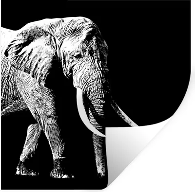 Produktbild von MuchoWow® Wandtattoo Wandsticker Wandaufkleber Elefant - Tiere - Schwarz - Weiß 30x30 cm Selbstklebend und Repositionierbar - Repositionierbar - Wasser abweisend