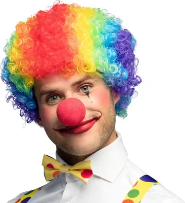 Produktbild von Perücke Clown Curly bunt