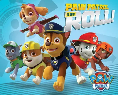 Immagine prodotto di Paw Patrol - On a Roll - Serie Bambini Mini Poster Formato 50x40 cm
