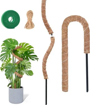 Productafbeelding van Famanu plantensteunen set, 2 stuks, 60 cm - Flexibel en handgemaakt