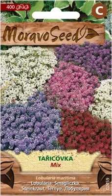 Image de Daurade, mélange 02459